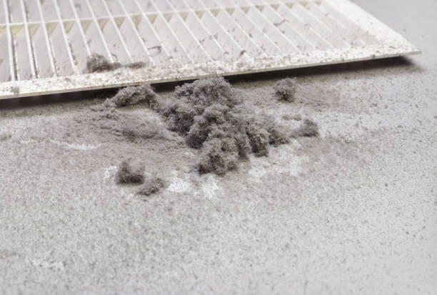 Best Professional Duct Cleaning Services  in Clinton, WA