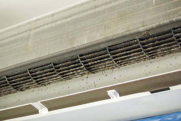 Best Ventilation Cleaning Services  in Clinton, WA